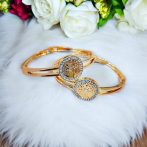 Stunning gold plated kara bangle set with white zircon - 1 pc modern design